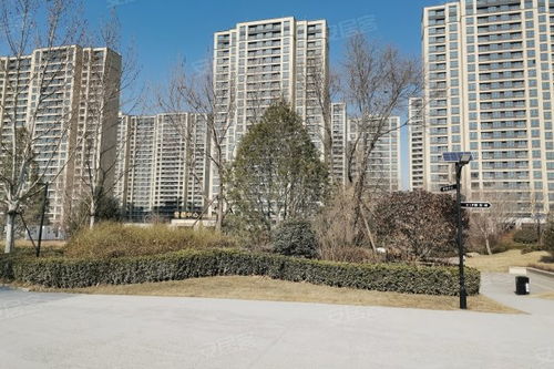 中新國際城綜合評測 優(yōu)點、不足、周邊中介及物業(yè)管理分析