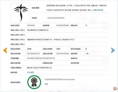 精心運營19年，卻被商標搶注拖了后腿？信息技術(shù)咨詢服務(wù)的警示與對策